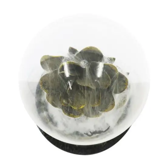 9" Spider Web-Covered Cloche Tabletop Accent by Ashland&reg; {4}