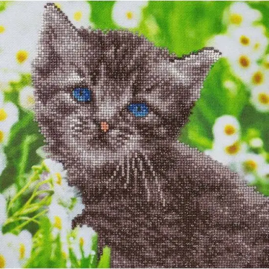 Diamond Art Intermediate Kitten Kit {1}