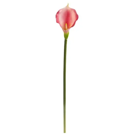 Pink Calla Lily Flower Stems, 12ct. {1}