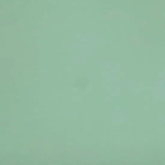 Fabric Merchants Solid Cotton Jersey Knit Fabric Sage {3}