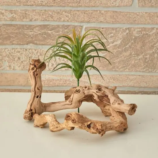 8" Tillandsia Artificial Flower (Set of 12) {4}