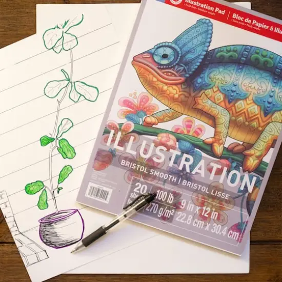 Bristol Smooth Illustration Pad by Artist's Loft&trade;, 9" x 12" {7}
