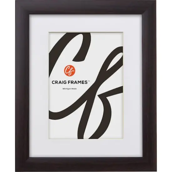 Craig Frames 4 Pack: Contemporary Brazilian Walnut Picture Frame with Mat {3}