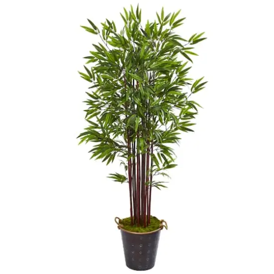 6ft. Bamboo Tree in Metal Planter {1}
