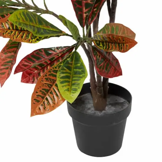 46" Potted Croton Shrub Tree {6}