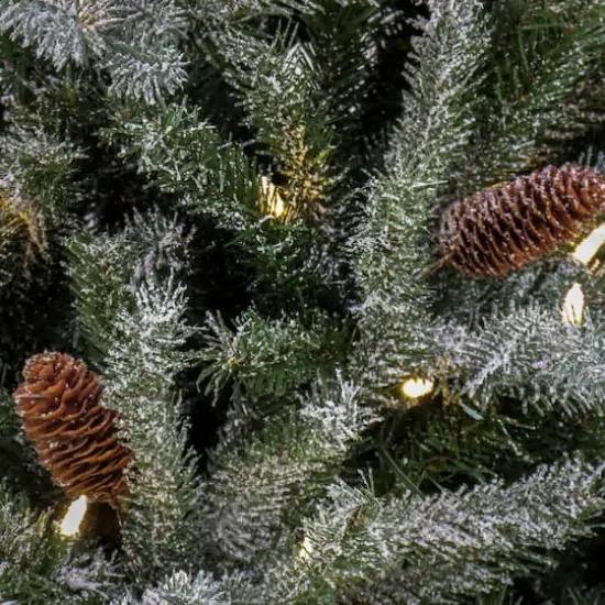 7ft. Pre-Lit Snowy Olallie Pine Artificial Christmas Tree With Pinecones, Clear LED Lights {4}