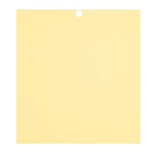 Citrus 6" x 6.5" Cardstock Paper by Recollections&trade;, 100 Sheets {9}