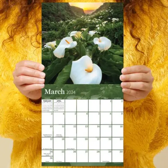 TF Publishing 2024 Flowers Mini Calendar {6}