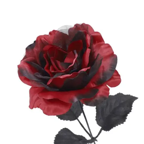 17.5" Red & Sheer Black Rose Bush by Ashland&reg; {4}