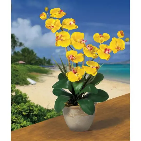2ft. Double Moth Orchid Silk Flower Arrangement Yellow {3}
