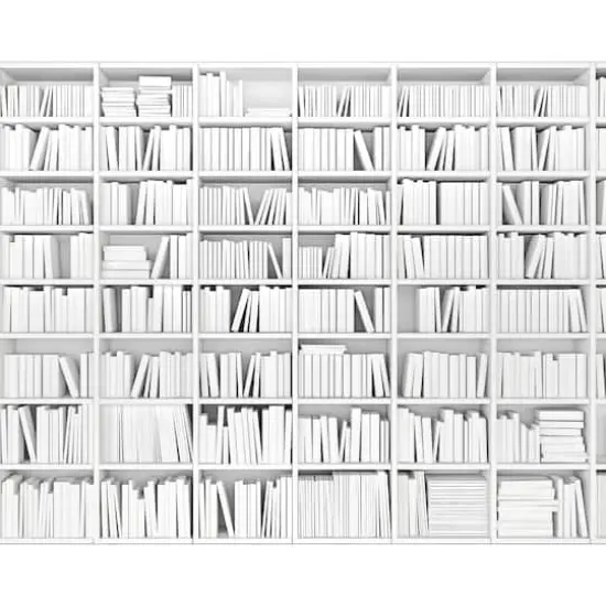 ohpopsi Library Wall Mural {1}