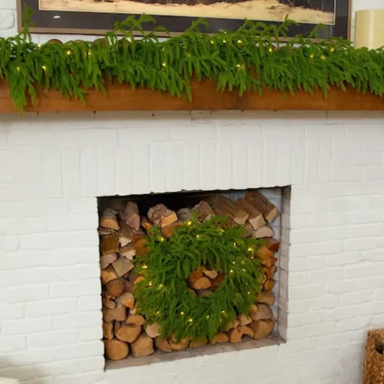 20in. Pre-Lit Artificial Real Touch Norfolk Island Pine Wreath with 35 Warm White LED Lights and Natural Look {9}