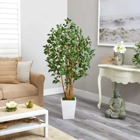 5.5ft. Bushy Ficus Tree in White Metal Planter {5}