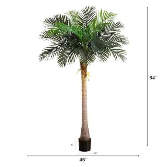 7ft. Potted Coconut Palm Tree {5}