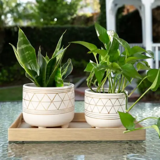 Flora Bunda 6" & 5" Geo Ceramic Pot With Legs Set {4}