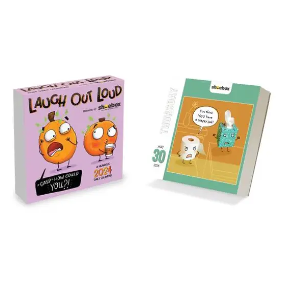 TF Publishing 2024 Shoebox Daily Desktop Calendar {1}