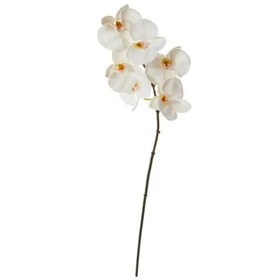 22" Phalaenopsis Orchid Artificial Flower (Set of 12) {1}