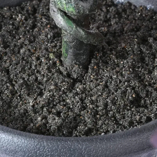 48" Potted Halloween Black Oak Tree {4}