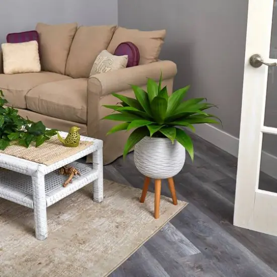 2.5ft. Agave Plant in White Planter with Stand {5}