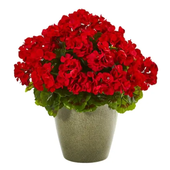 17" UV Resistant Potted Geranium Plant {1}