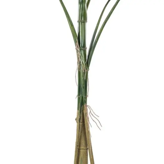 4.5ft. Potted Grand Split Philodendron Tree {8}