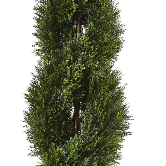 4ft. Potted Double Pond Cypress Spiral Topiary Tree {3}