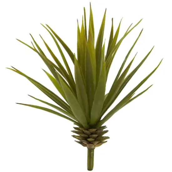 Spiky Agave Succulent Pick, 12ct.  {3}