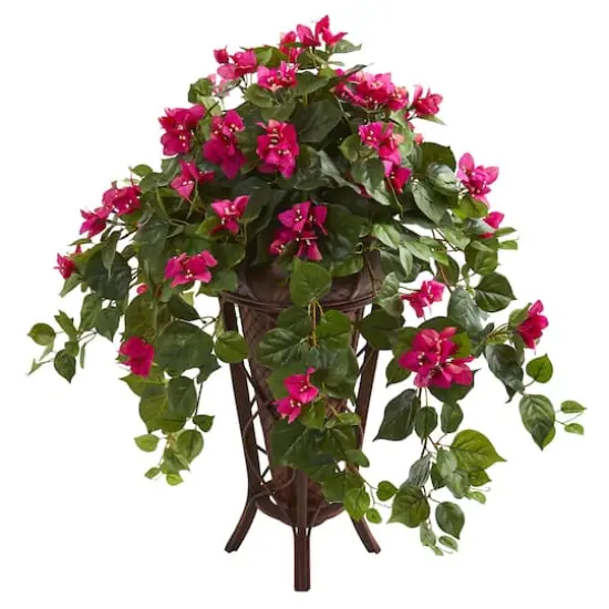 2.5ft. Pink Bougainvillea in Stand Planter {1}