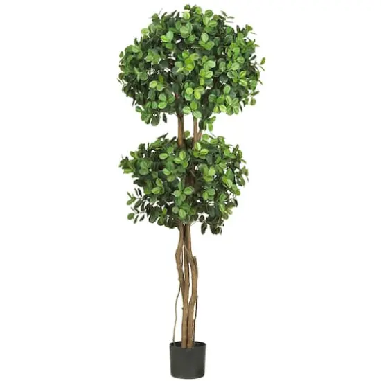 5.5ft. Potted Eucalyptus Double Ball Topiary {1}