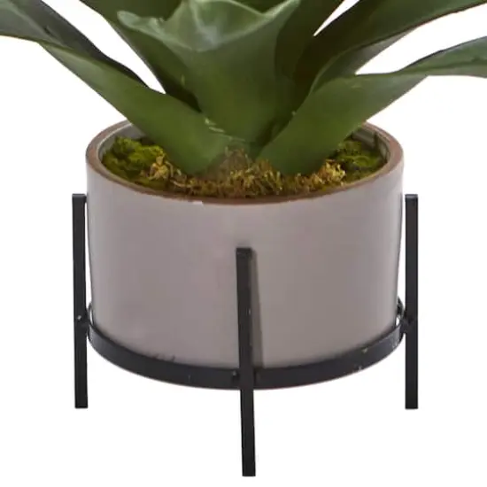 14" Agave Succulent in Decorative Planter {4}