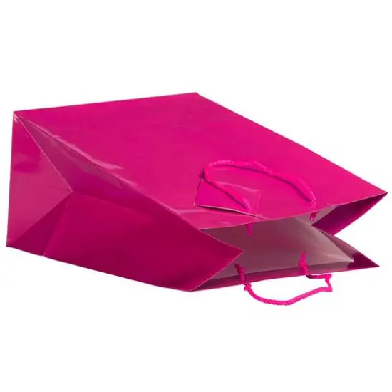 JAM Paper Large Glossy Gift Bags with Rope Handles, 3ct. Hot Pink {6}