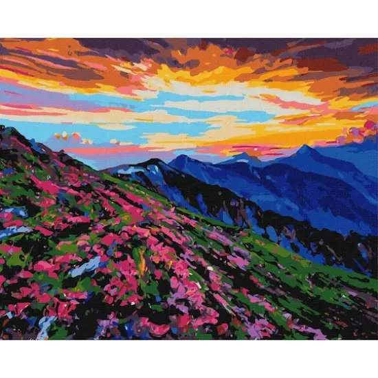 Ideyka Wonderland Painting by Numbers Kit {3}