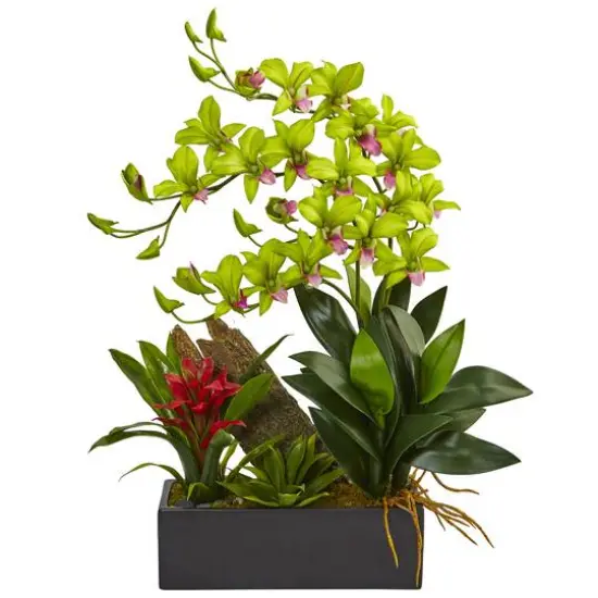 23.5" Green Pigeon Orchid & Bromeliad Arrangement in Black Rectangle Planter {1}