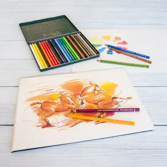 Faber-Castell Polychromos 24 Color Pencil Set {5}
