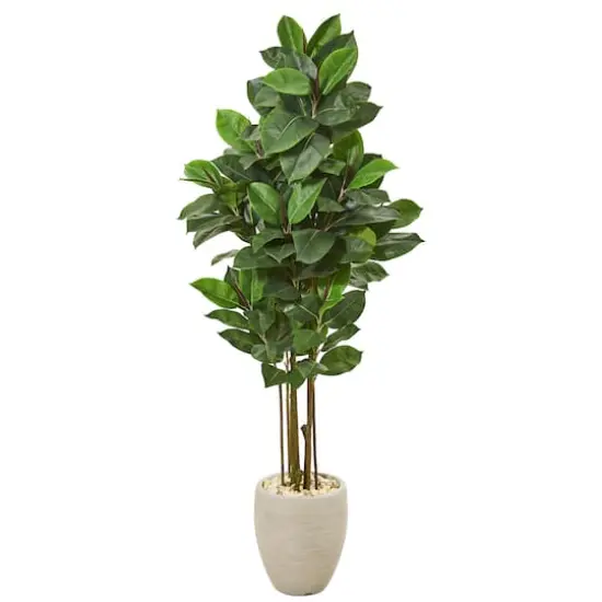5ft. Rubber Leaf Tree in Sand Colored Planter {1}