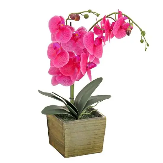 21" Orchid Flower In Wood Box Pink {2}