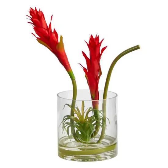 16" Red Star Bromeliad Arrangement in Glass Vase {1}