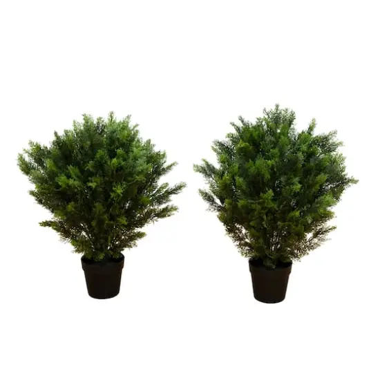 3ft. Potted UV Resistant Cedar Trees, 2ct. {1}
