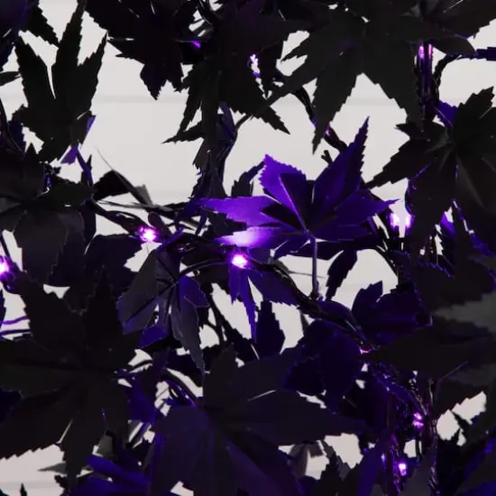 6ft. Pre-Lit Artificial Halloween Black Maple Tree with 300 Orange & Purple LED Lights {4}