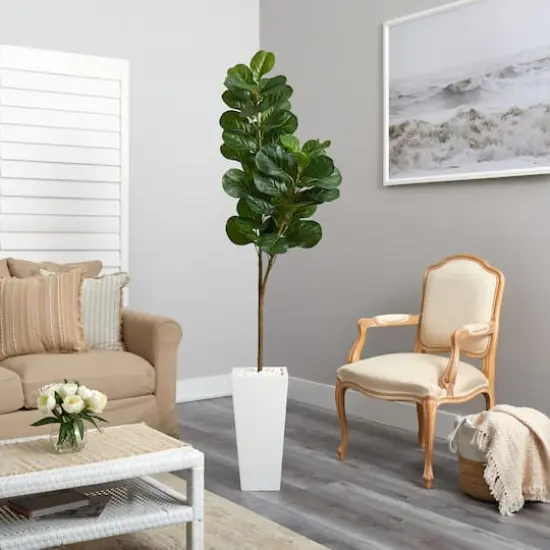 6ft. Fiddle Leaf Fig Tree in Tall White Planter {5}