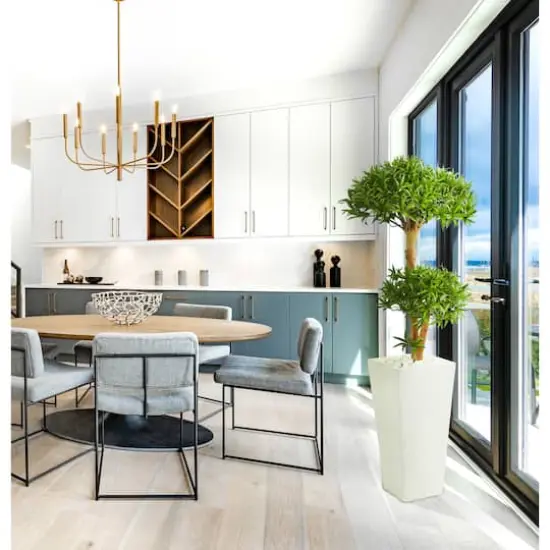 4ft. Green Bonsai Styled Plum Pine Tree in Tower Planter {3}