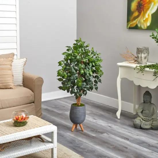 4ft. Ficus Tree in Gray Planter with Stand {5}