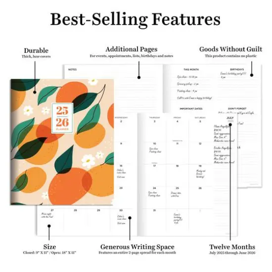 TF Publishing 2025-2026 Oranges & Peaches Large Monthly Planner {6}