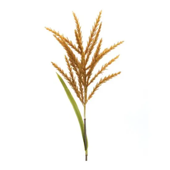 34" Orange Astilbe Stems, 12ct. {4}