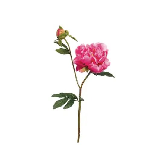 Magenta Peony Stem with Bud  {1}