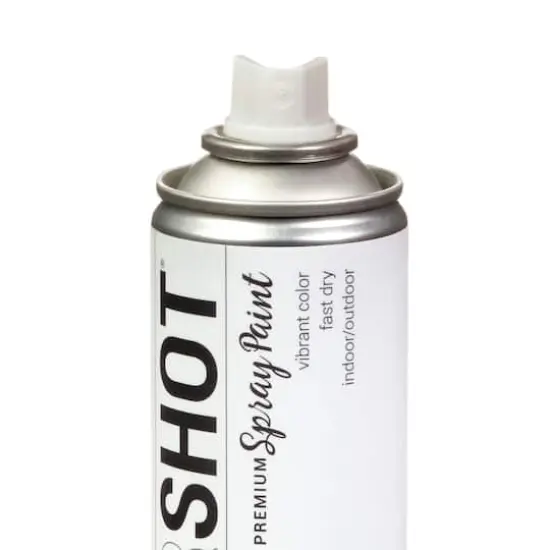 COLORSHOT&reg; Head In the Clouds Matte Spray Paint {5}