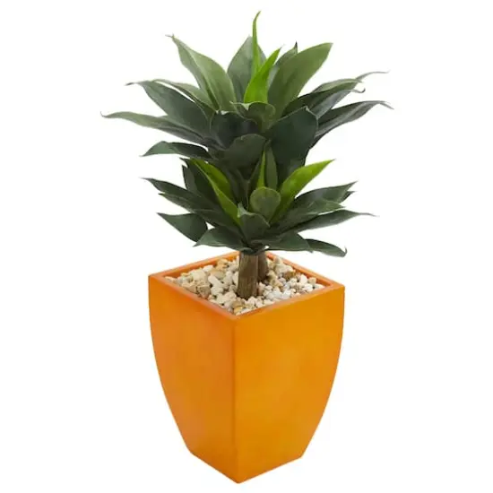 3ft. Double Agave Succulent Plant in Orange Planter {1}