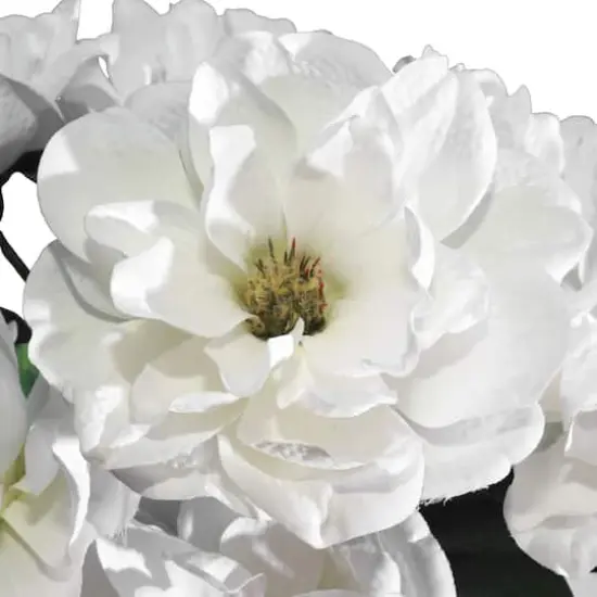 22" White Magnolia Bush by Ashland&reg; {3}