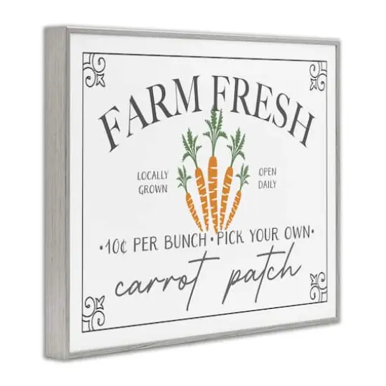 Stupell Industries Farm Fresh Carrot Patch Seasonal Springtime Vegetables Framed Giclee Art Gray {4}