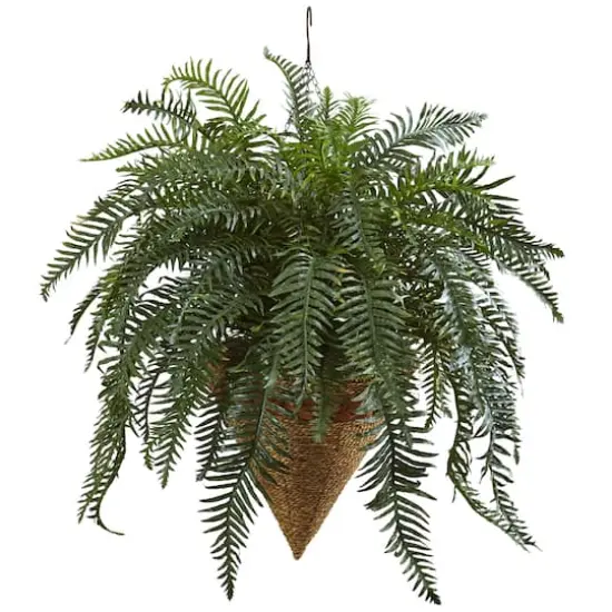 2.5ft. Giant River Fern with Cone Hanging Basket {1}
